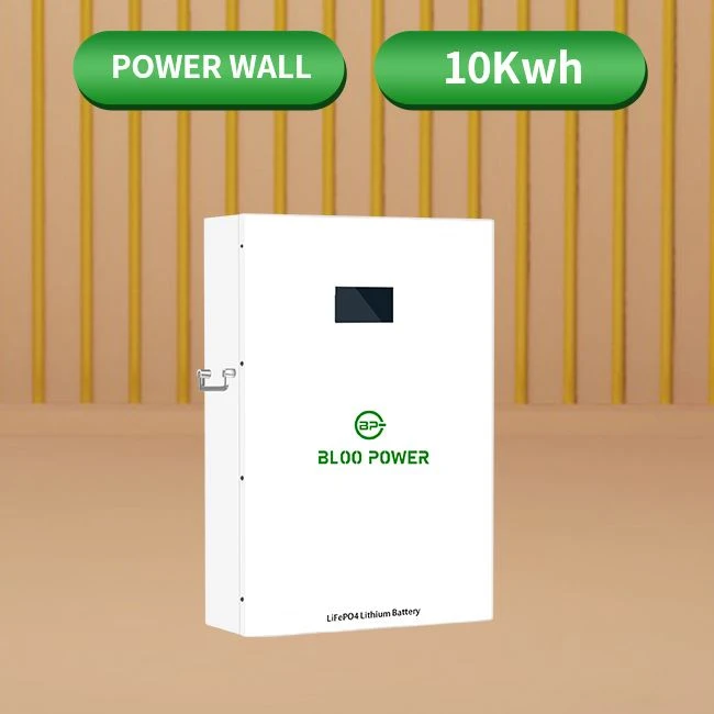 wall mount lithium iron phosphate battery case